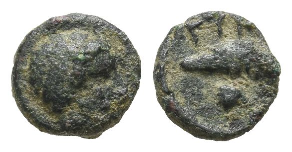 171 Greek AE.