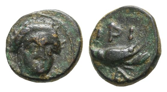 276 Greek AE.