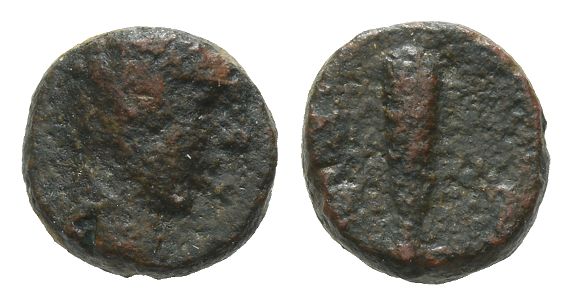 245 Greek AE.
