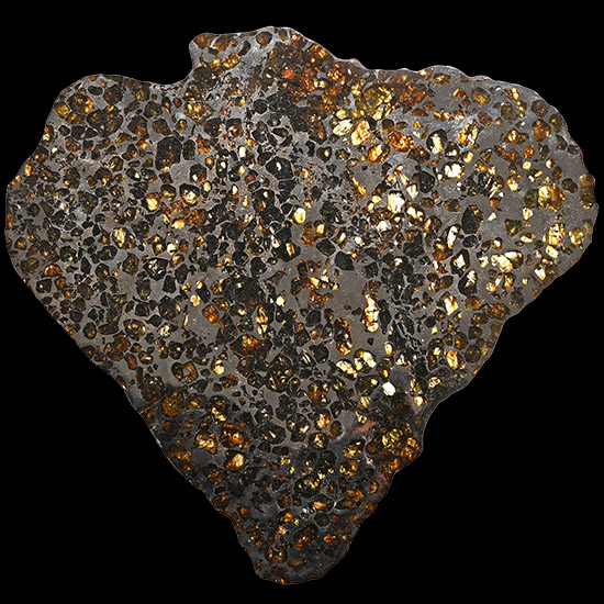 Seymchan Meteorite Cross-Section