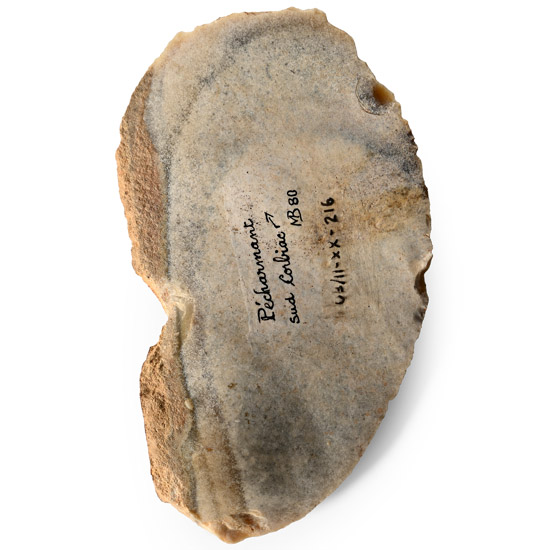 Stone Age Hand Tool