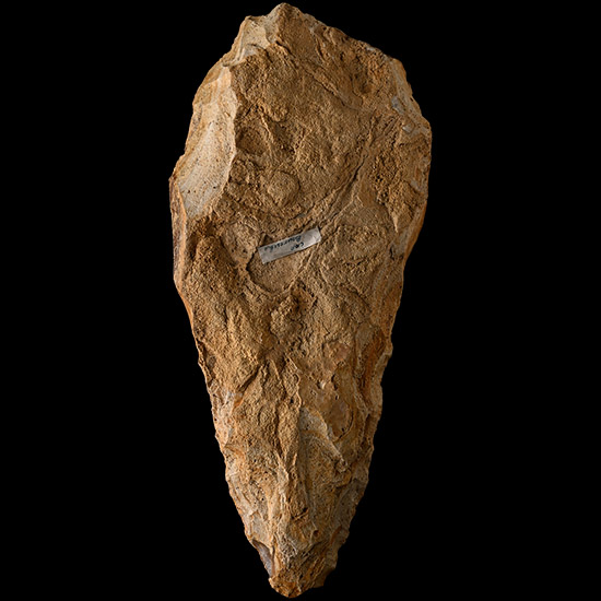 Giant French Stone Age 12 Inch Acheulean Knapped Handaxe