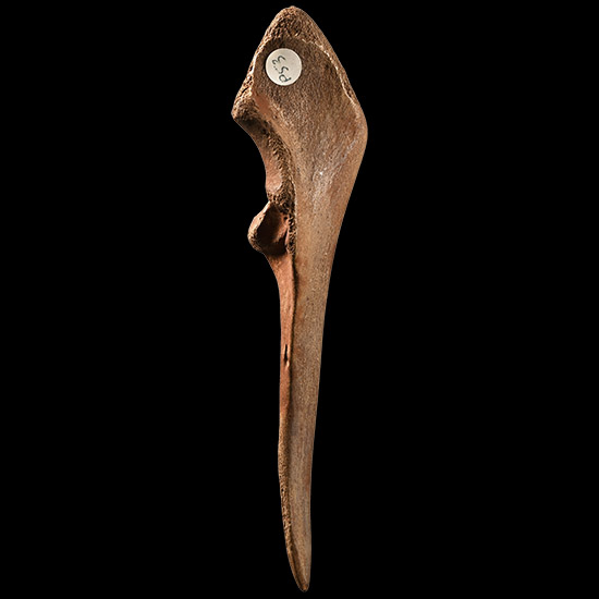 Large French Stone Age Magdalenian Bone Awl