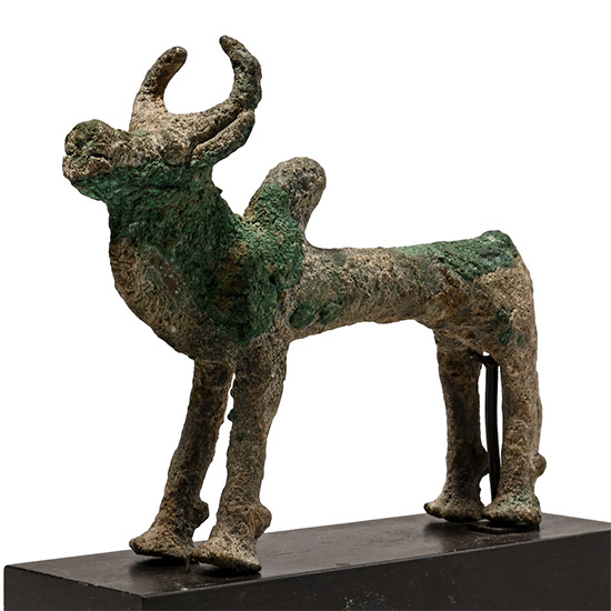 Bactrian Copper Standing Zebu