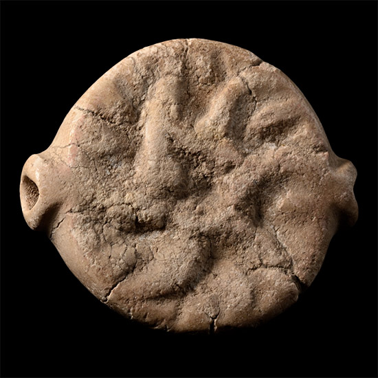 Mesopotamian White Stone Seal with Water Creatures
