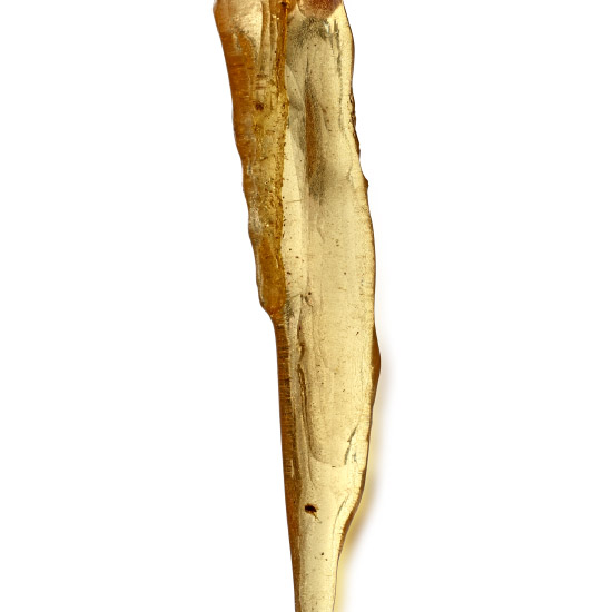 Polished Copal Spike with Insects
