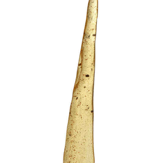 Polished Copal Spike with Insects
