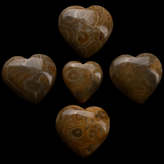 Polished Fossil Coral Head Heart Group