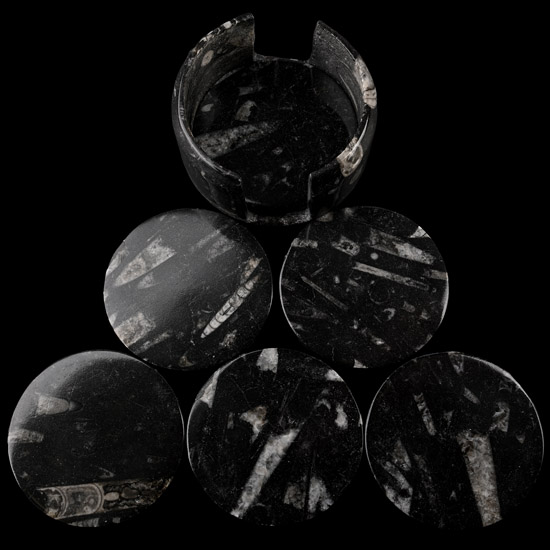 Polished Fossil Orthoceras Coaster Set