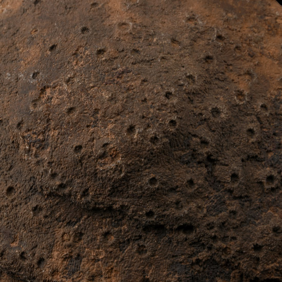 Natural Fossil Coral Head