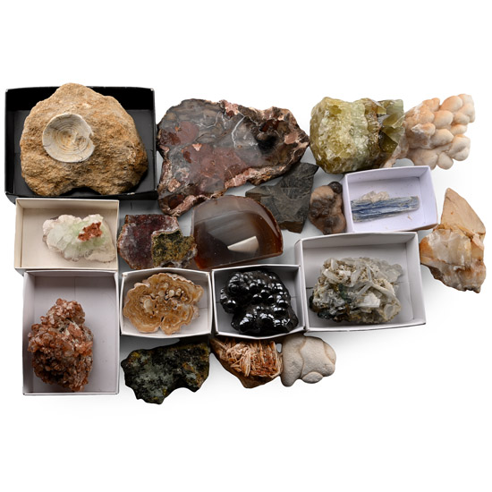 Mixed Fossil, Crystal and Mineral Collection