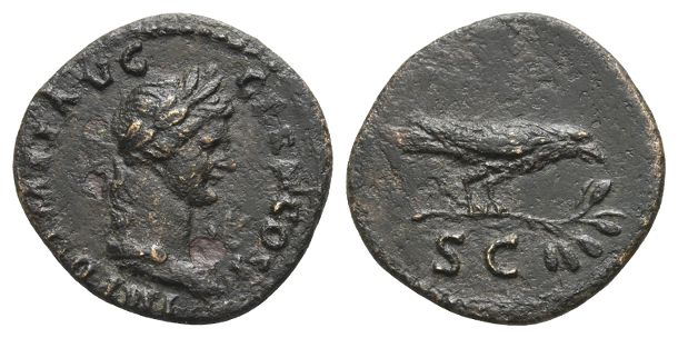 Domitian AE Semis.