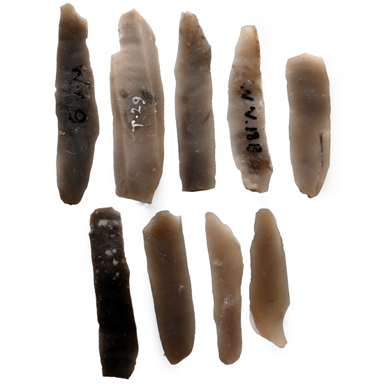Farnham Stone Age Flint Blade Collection
