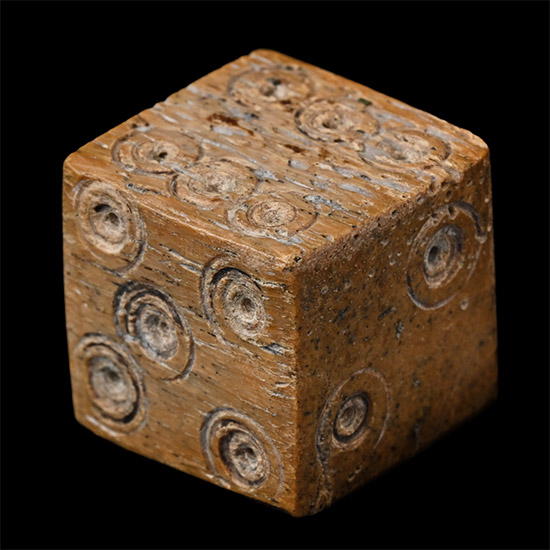 Large Roman Bone Gaming Dice