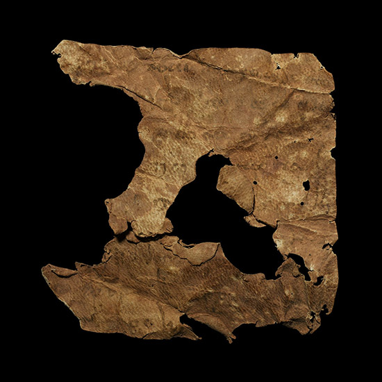 Bactrian Manuscript Fragment of a Letter