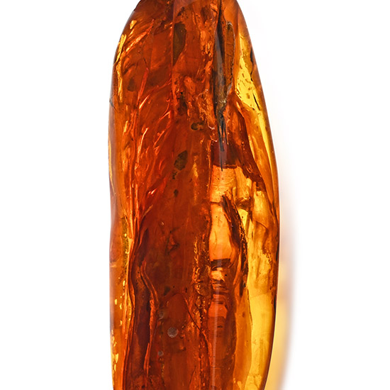 Polished Baltic Amber with Large Fly and Other Inclusions
