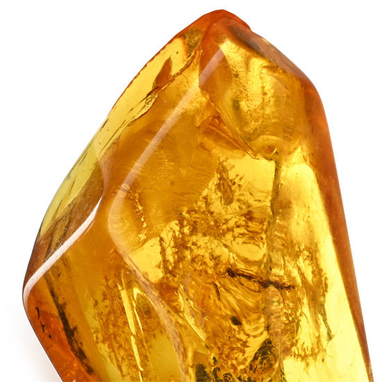 Polished Baltic Amber with Fly