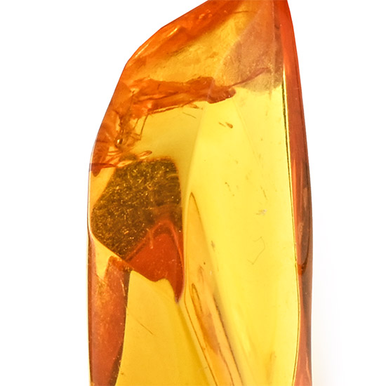 Polished Baltic Amber with Insect