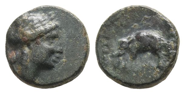 Seleukid Empire, Antiochos III AE Chalkous.