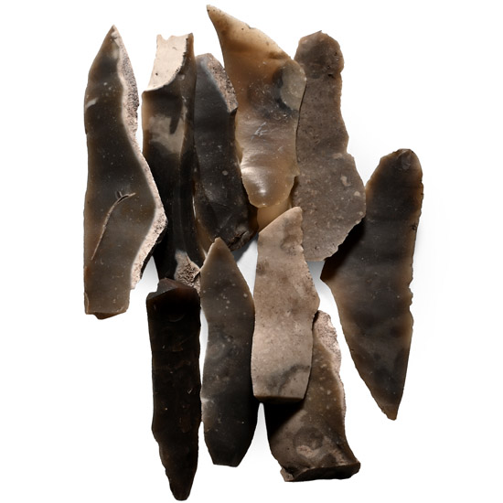 Farnham Stone Age Knapped Flint Blade Collection