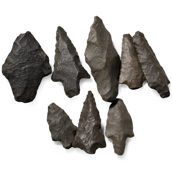 Stone Age Arrowhead Collection