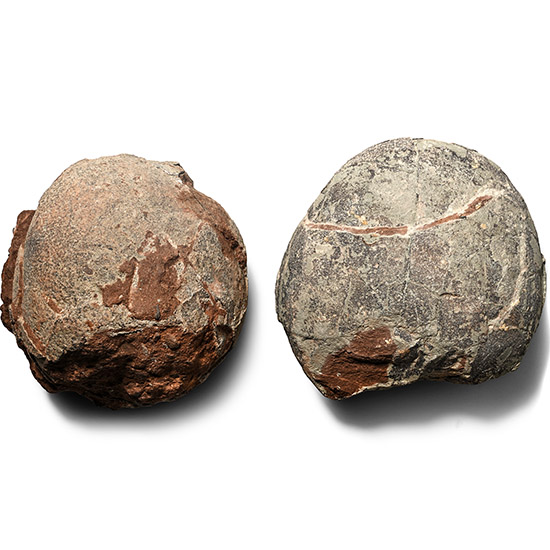 Fossil Hadrosaur Egg Pair