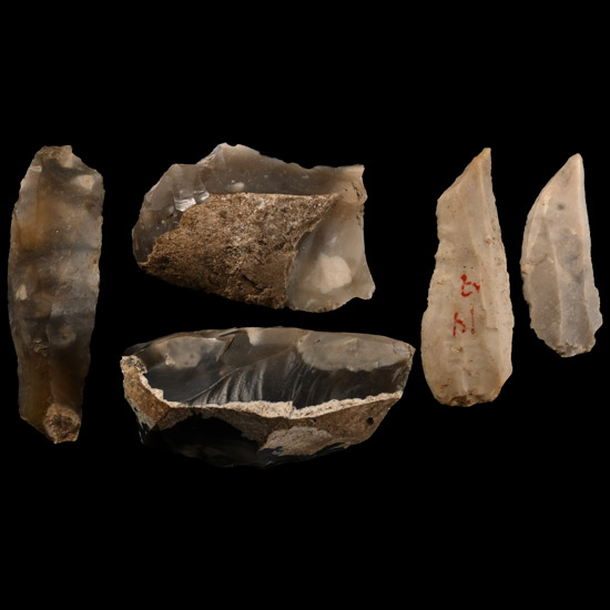Farnham Capel Field Stone Age Knapped Flint Tool Collection