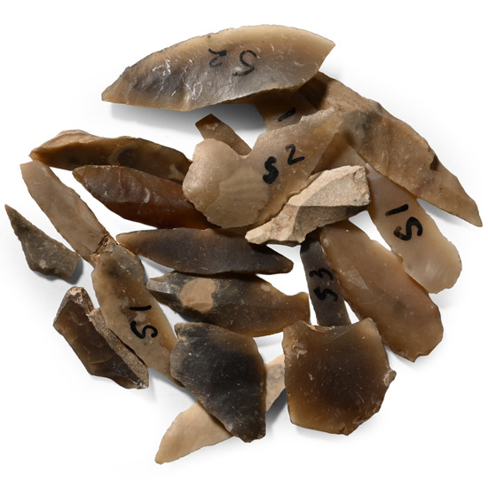 Farnham Stone Age Knapped Flint Micro-Burins Collection