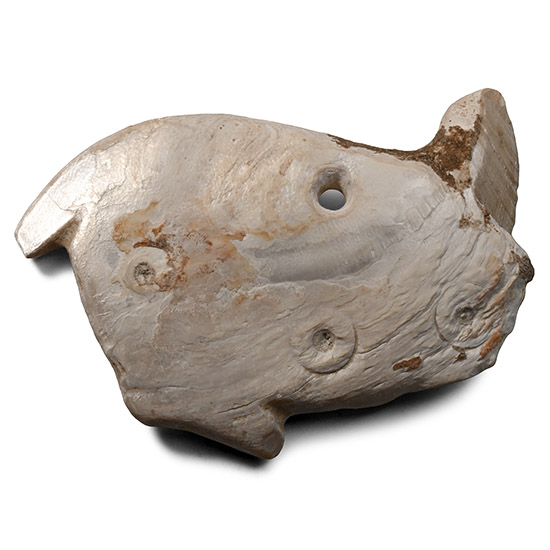 Sumerian Shell Amulet