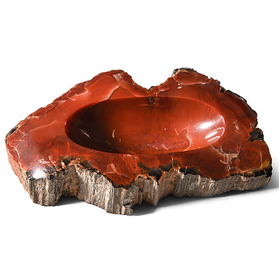 Polished Fossilised Wood Trinket Dish