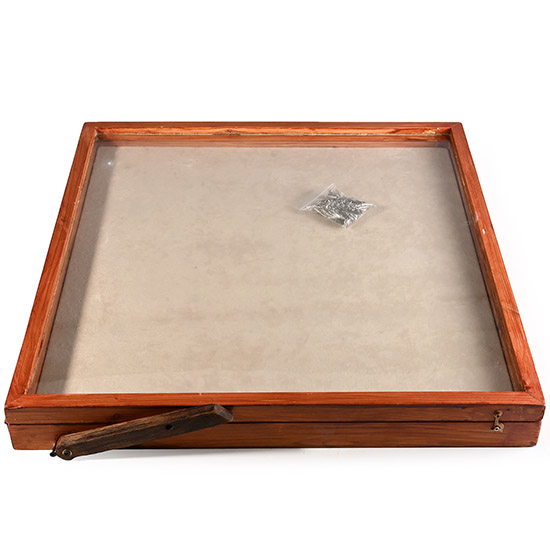 Large Pine Display Case