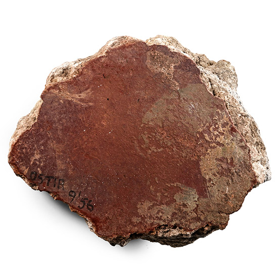Roman Fresco Painted Wall Plaster Fragment
