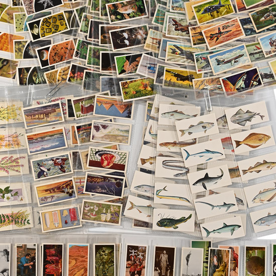 Eight British Cigarette Card Sets