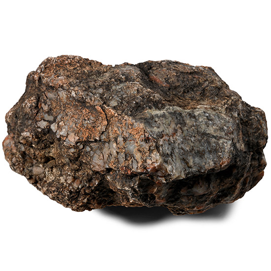 Sauropod Agatised Dinosaur Cuprolite