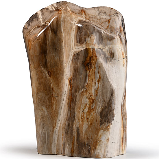 Javanese Fossil Wood Specimen