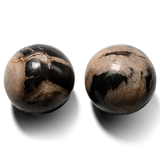 Fossil Javanese Wood Spheres