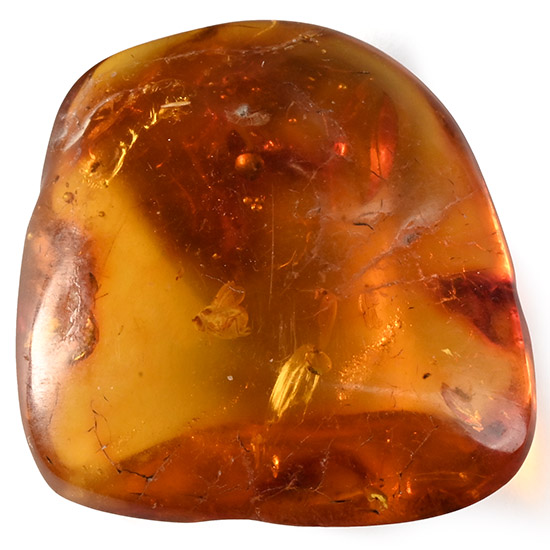 Polished Amber with Insect Inclusion