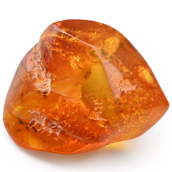 Polished Amber with Insect Inclusion