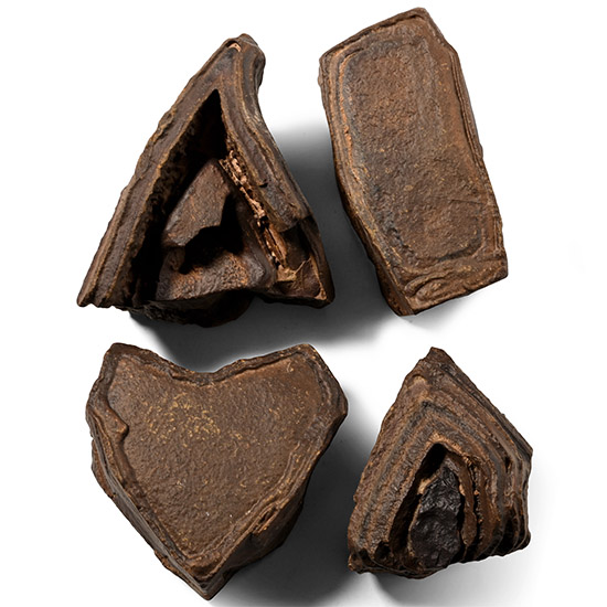 Fossilised Mineral Mud