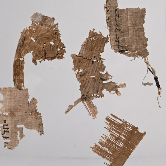 Egyptian Papyrus Fragments in Display Stand