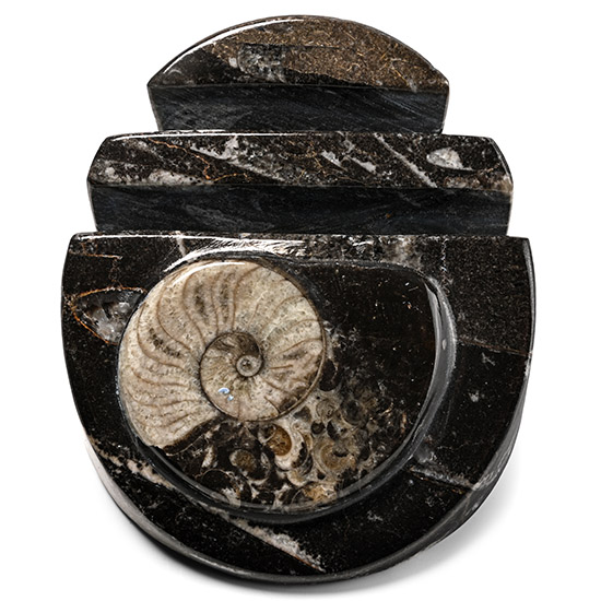 Fossil Goniatite Polished Letter Holder