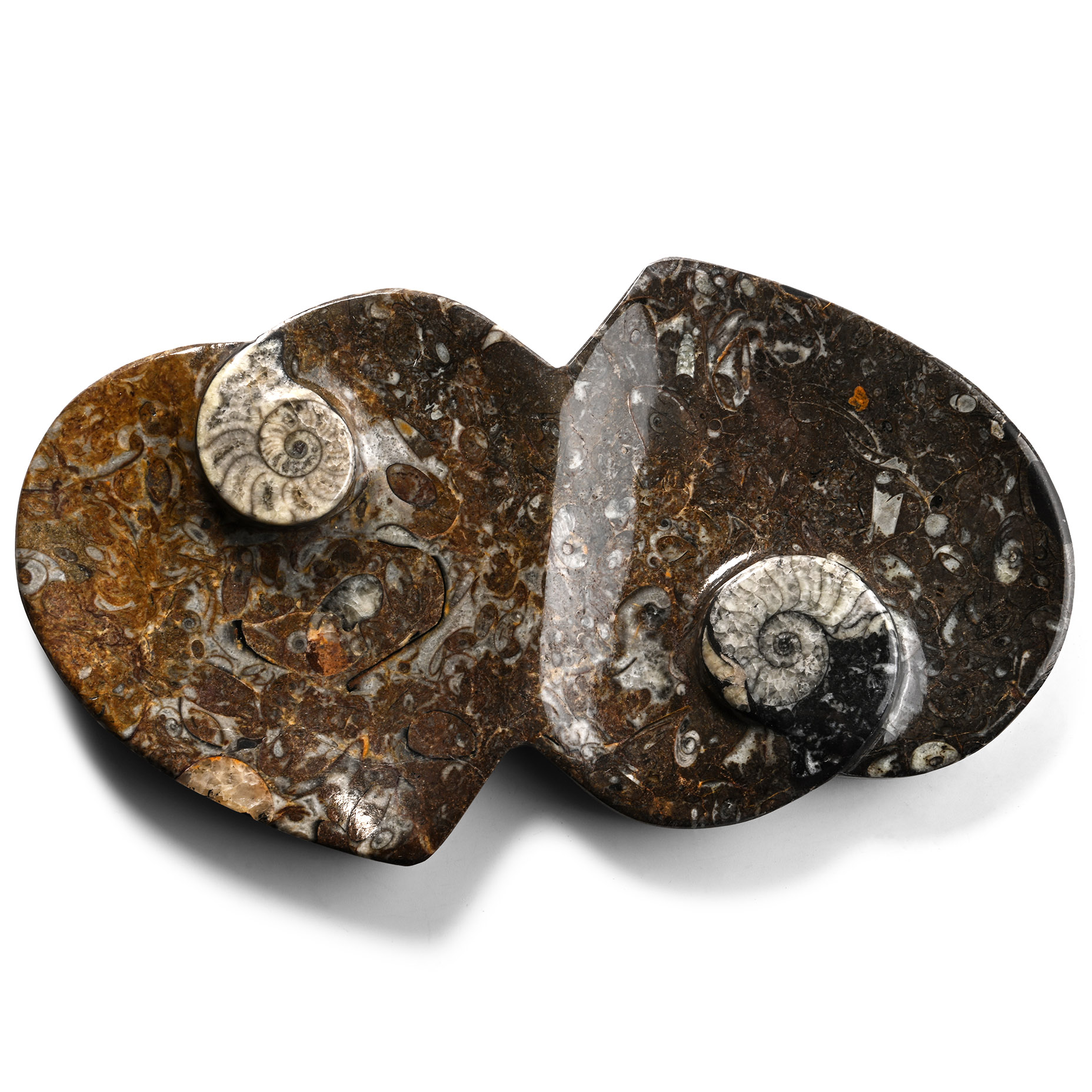 Polished Fossil Double Heart Dish
