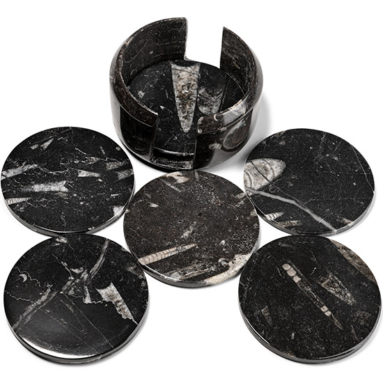 Fossil Orthoceras Polished Coaster Set