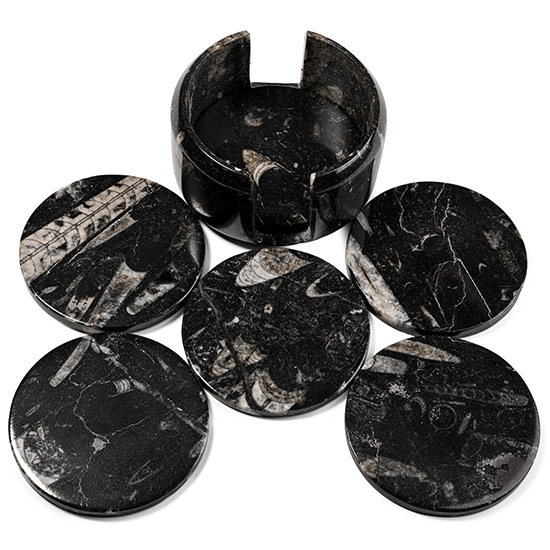 Polished Fossil Orthoceras Set of Coasters