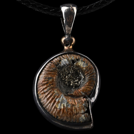 Fossil Ammonite Pendant Necklace