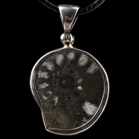 Fossil Ammonite Pendant Necklace