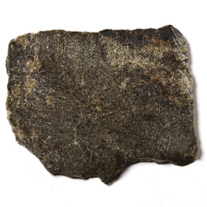Natural History - Diogenite NWA 5480 Meteorite Slice