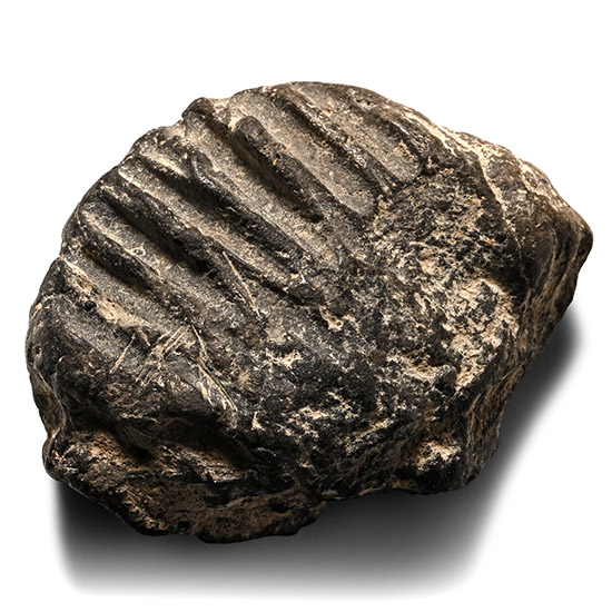 Uruk Period Terracotta Bulla with Bird