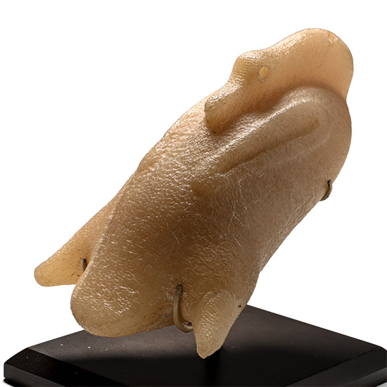 Egyptian Alabaster Trussed Duck