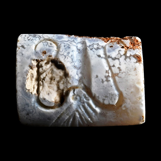 Minoan Agate Seal with Squid